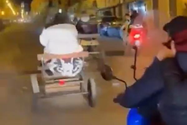 Corsa clandestina (e sfrenata) sui pony a Palermo: scatta indagine – Il VIDEO