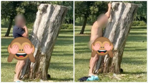 violenta-albero-arresto