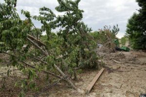 Da Unicredit sostegno ad aziende agricole Siciliane per eventi calamitosi 2023
