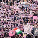 Tifosi palermo-2-4