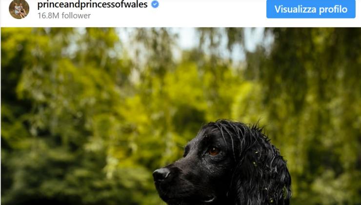 Kate cagnolini (foto instagram princeandprincessofwales) - teleone.it