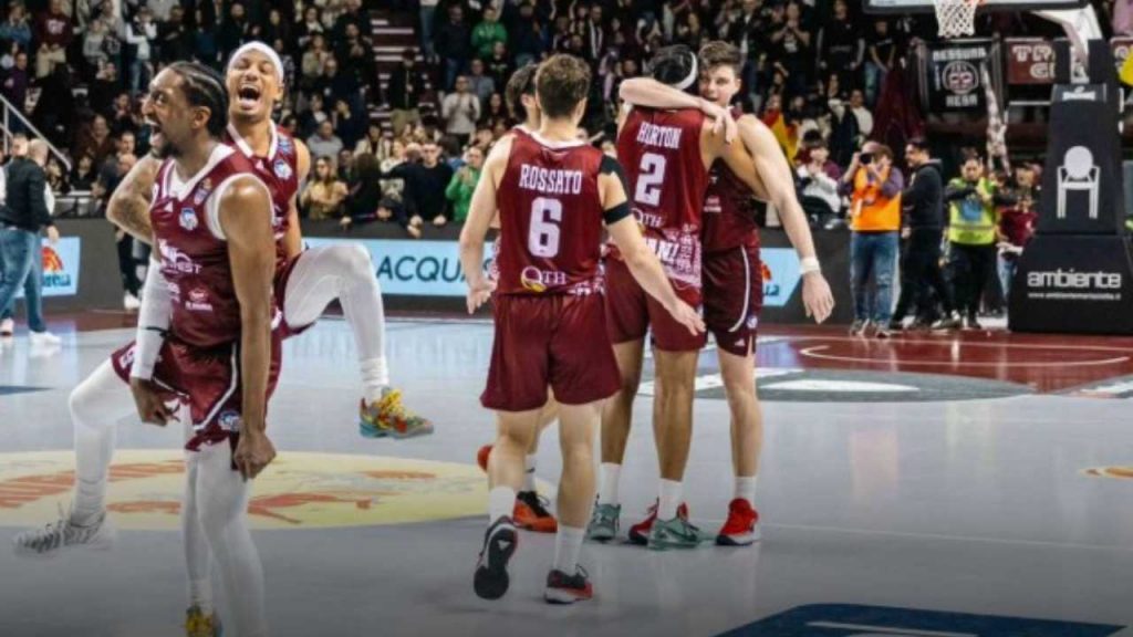 trapani shark