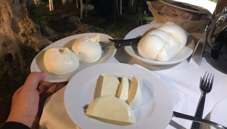 Le mozzarelle dell'agriturismo (foto tripadvisor) - teleone.it