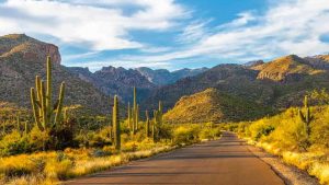 arizona (foto pexels) - teleone.it