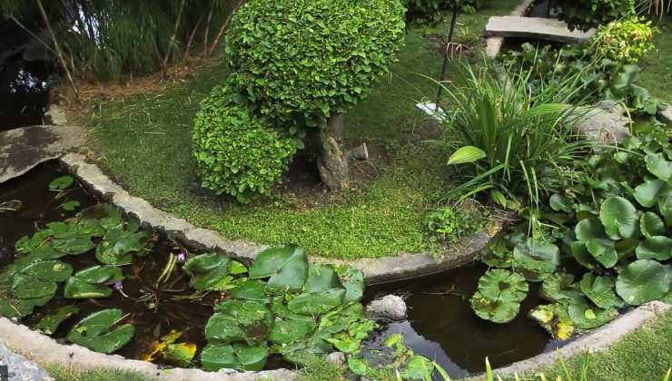 il giardino (screenshot youtube lestanzeinfiore 2) - teleone.it