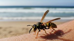 vespa spiaggia - foto (C) Teleone.it