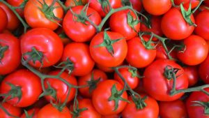 pomodorini siciliani - foto archivio teleone
