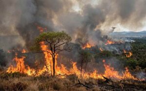 incendi sicilia
