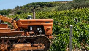 mezzo agricolo campagna