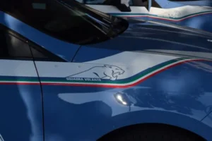 Polizia volante
