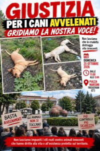 protesta cani avvelenati trecastagni